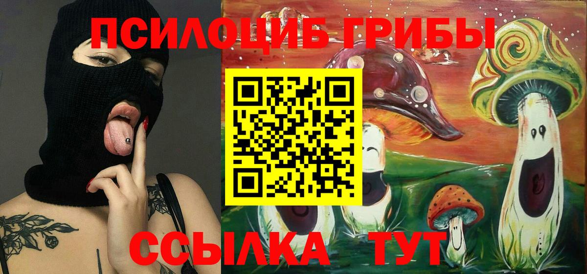 Галлюциногенные грибы прущие грибы Жигулёвск