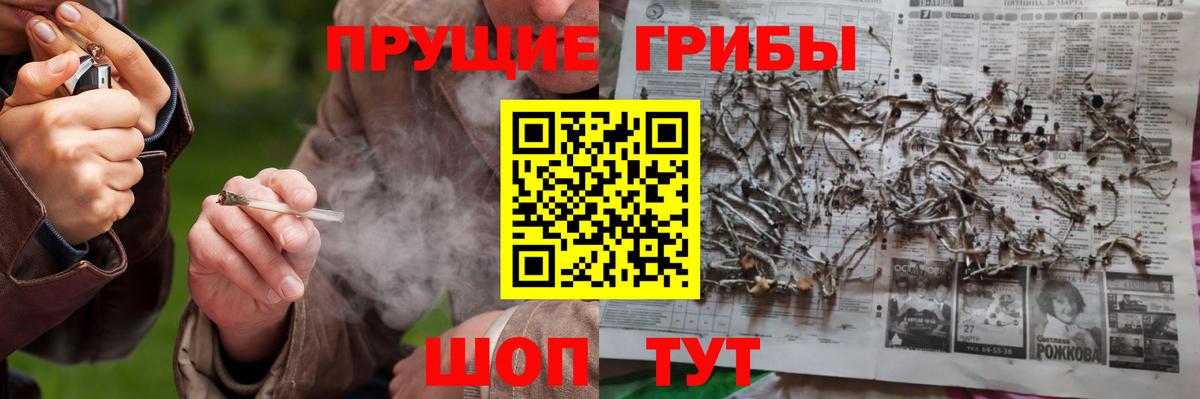 Жигулёвск  Галлюциногенные грибы MAGIC MUSHROOMS  Псилоцибиновые грибы Cubensis  Вход с VPN 